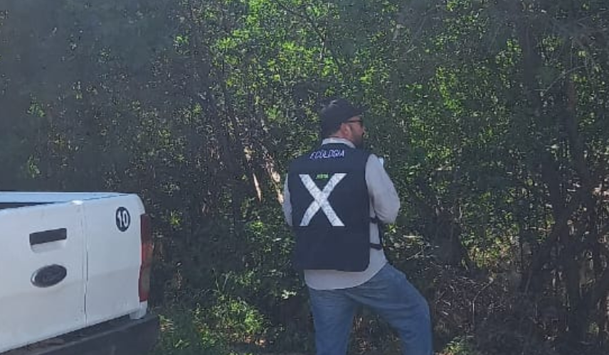 Dirección de Ecología de Mazatlán