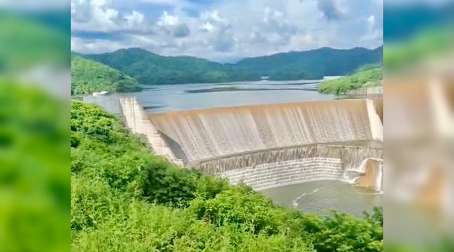 Presa Picachos