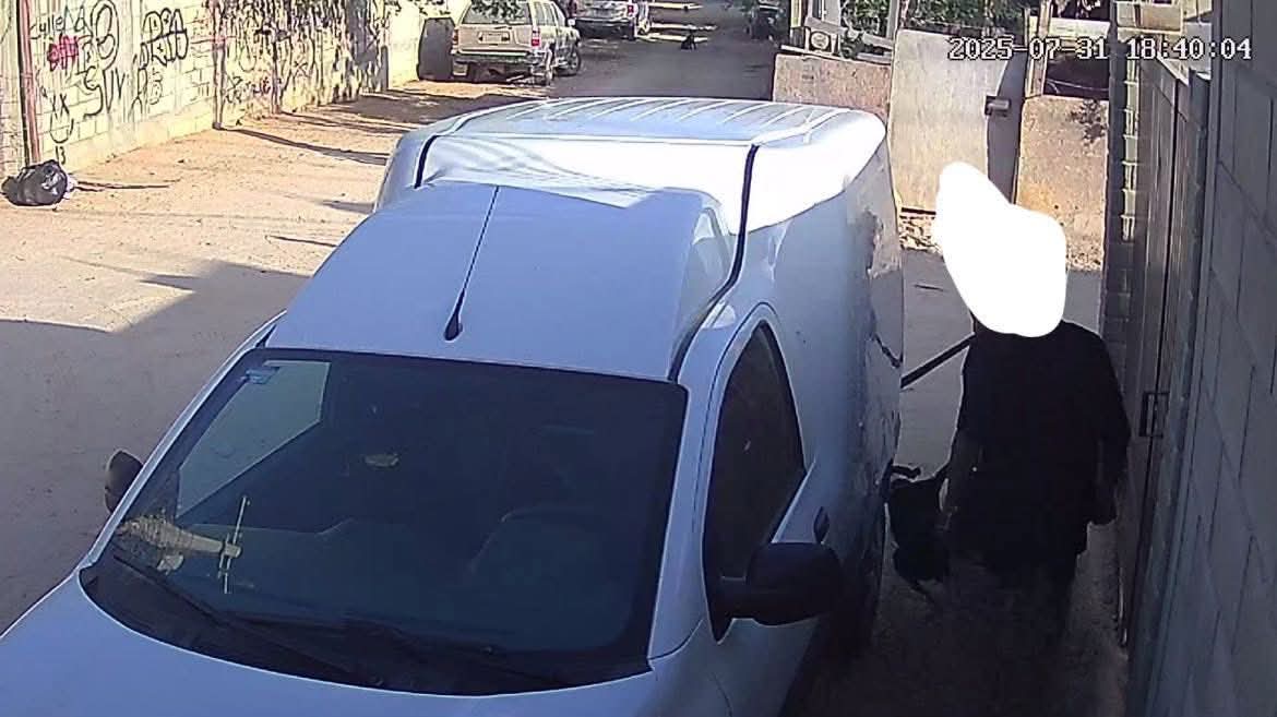 se viraliza video en busca de justicia por agresión a una perrita