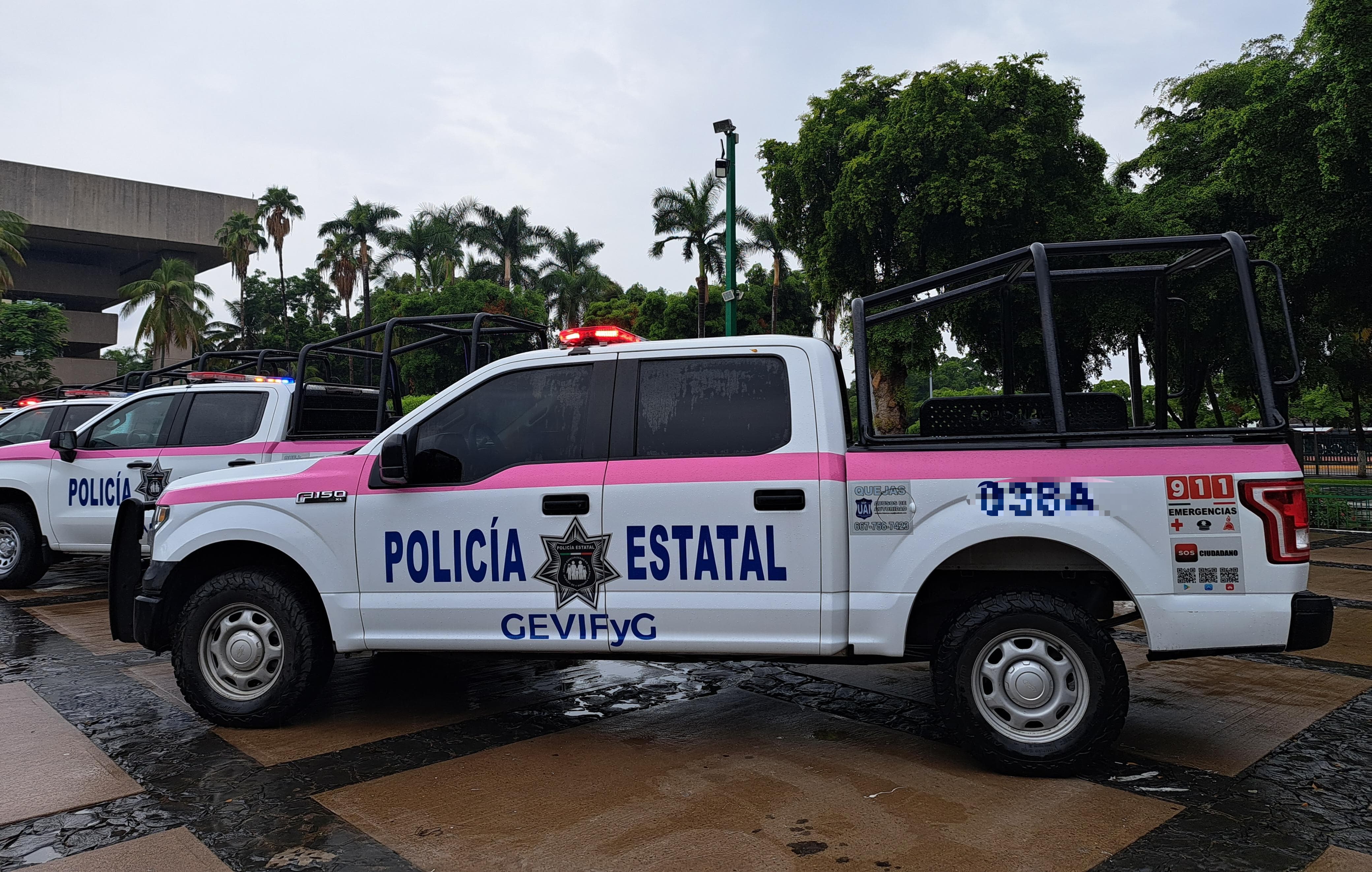 Unidad de género