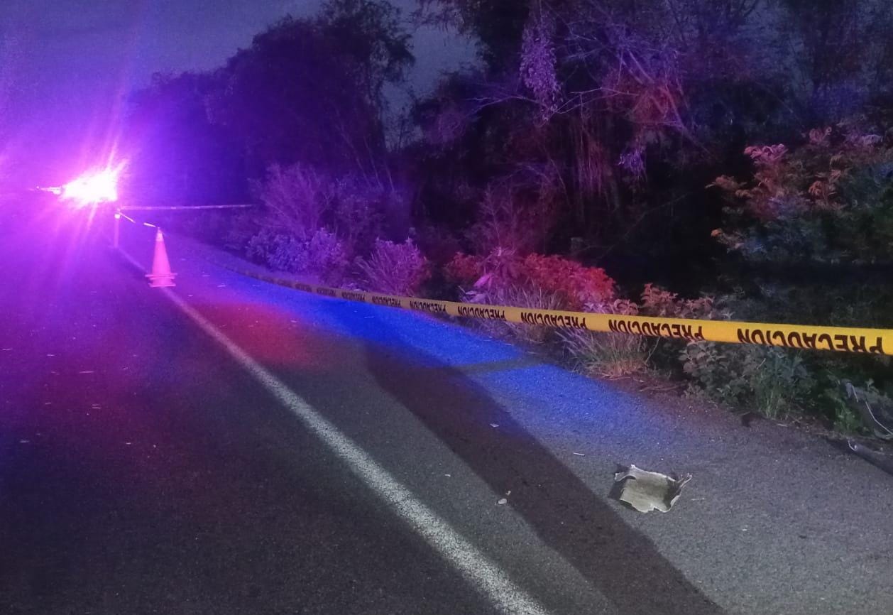 Jinete muere al ser embestido por un tráiler
