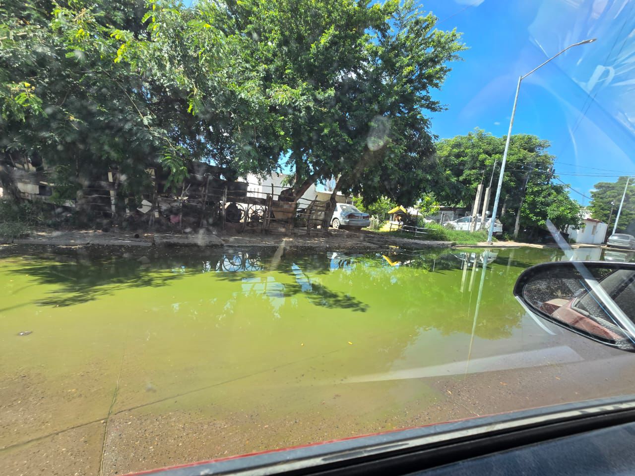 Entre aguas negras, vecinos de colonia Revolución denuncian foco de infección