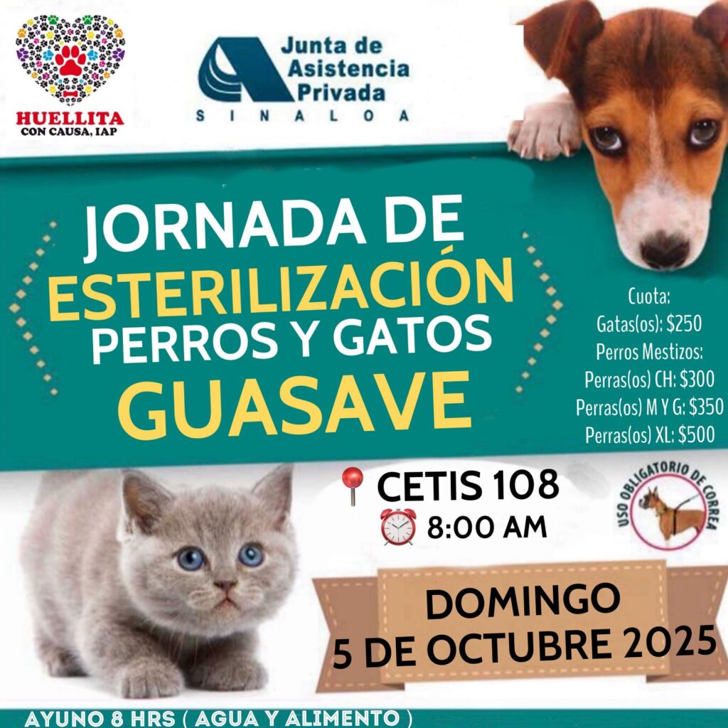 Anuncian jornada de salud para perros y gatos en Guasave