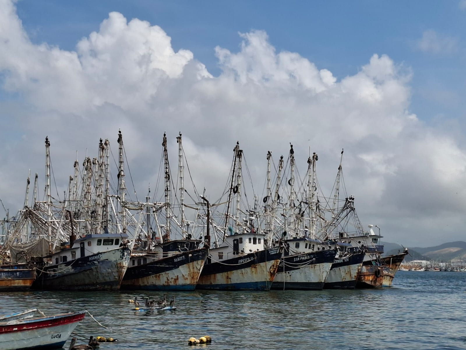 Barcos camaroneros en Sinaloa.