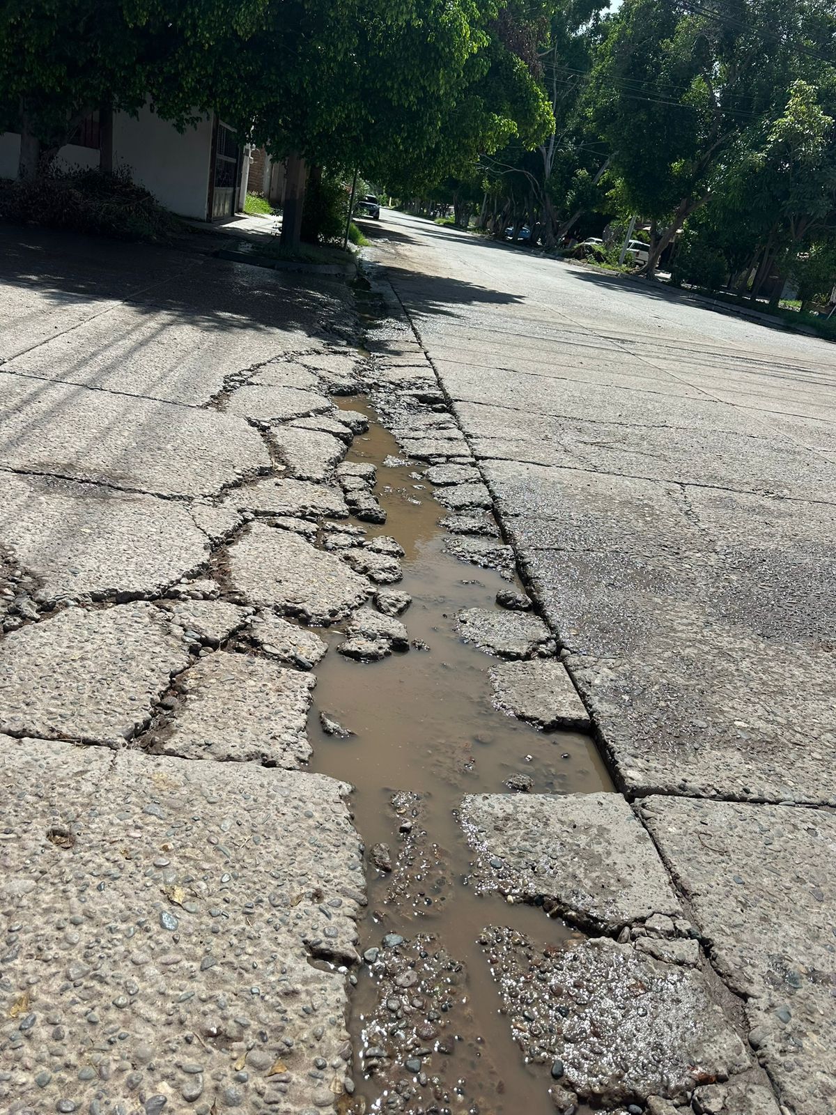 Estos son los puntos que están dañados en la ciudad de Los Mochis.