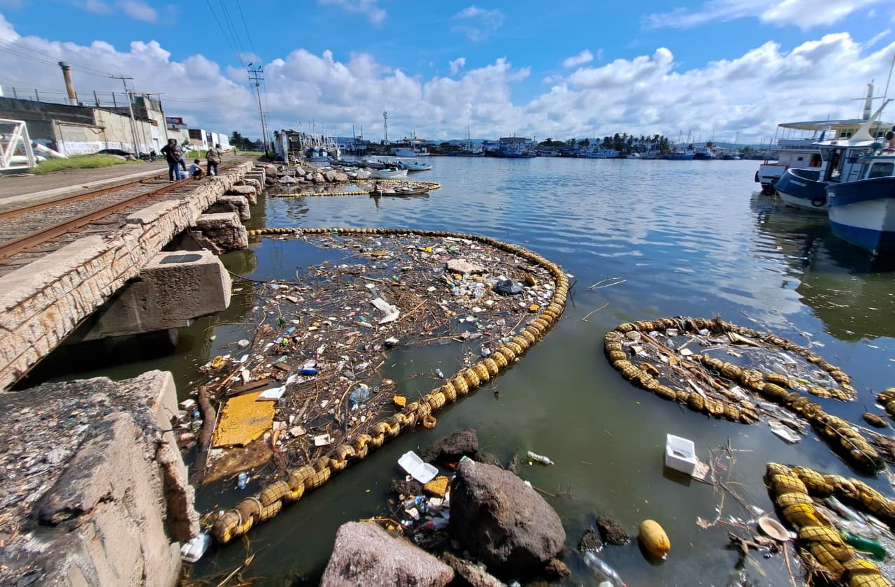 Biobarda en Mazatlán.