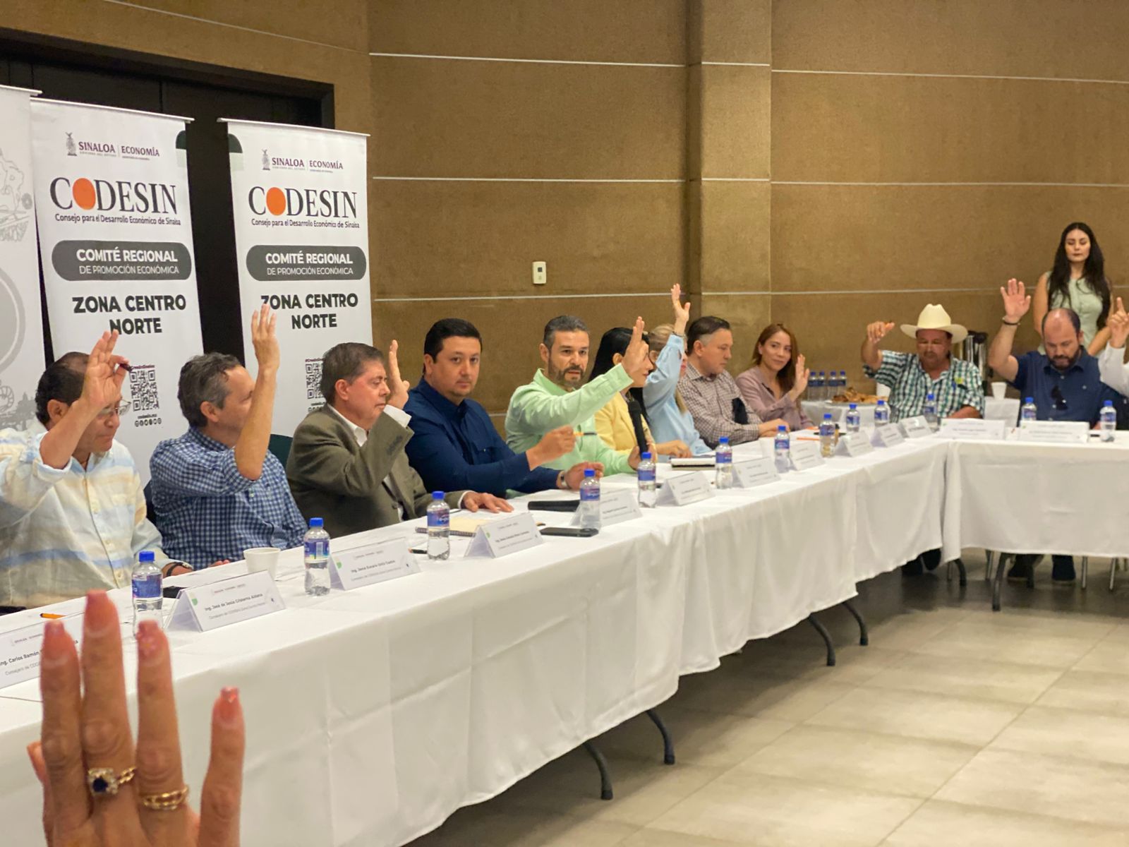 sesión regional de la zona centro-norte de Codesin