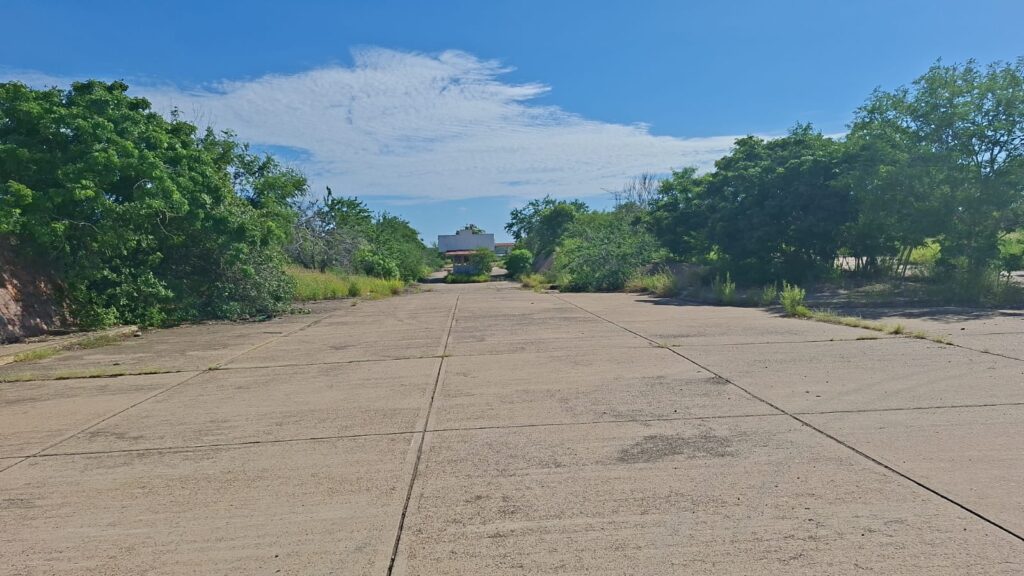 Colectivo de búsqueda halla cuerpo de joven en estado de descomposición en Mazatlán
