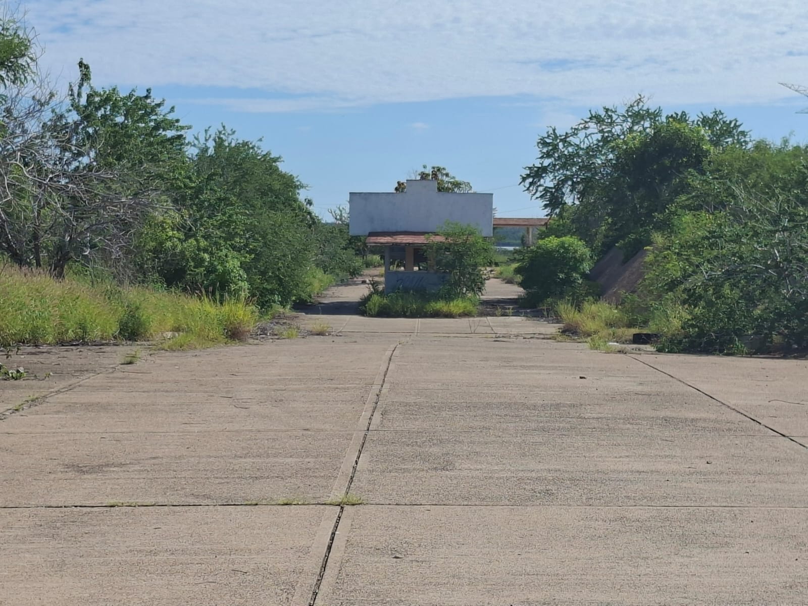 Colectivo de búsqueda halla cuerpo de joven en estado de descomposición en Mazatlán
