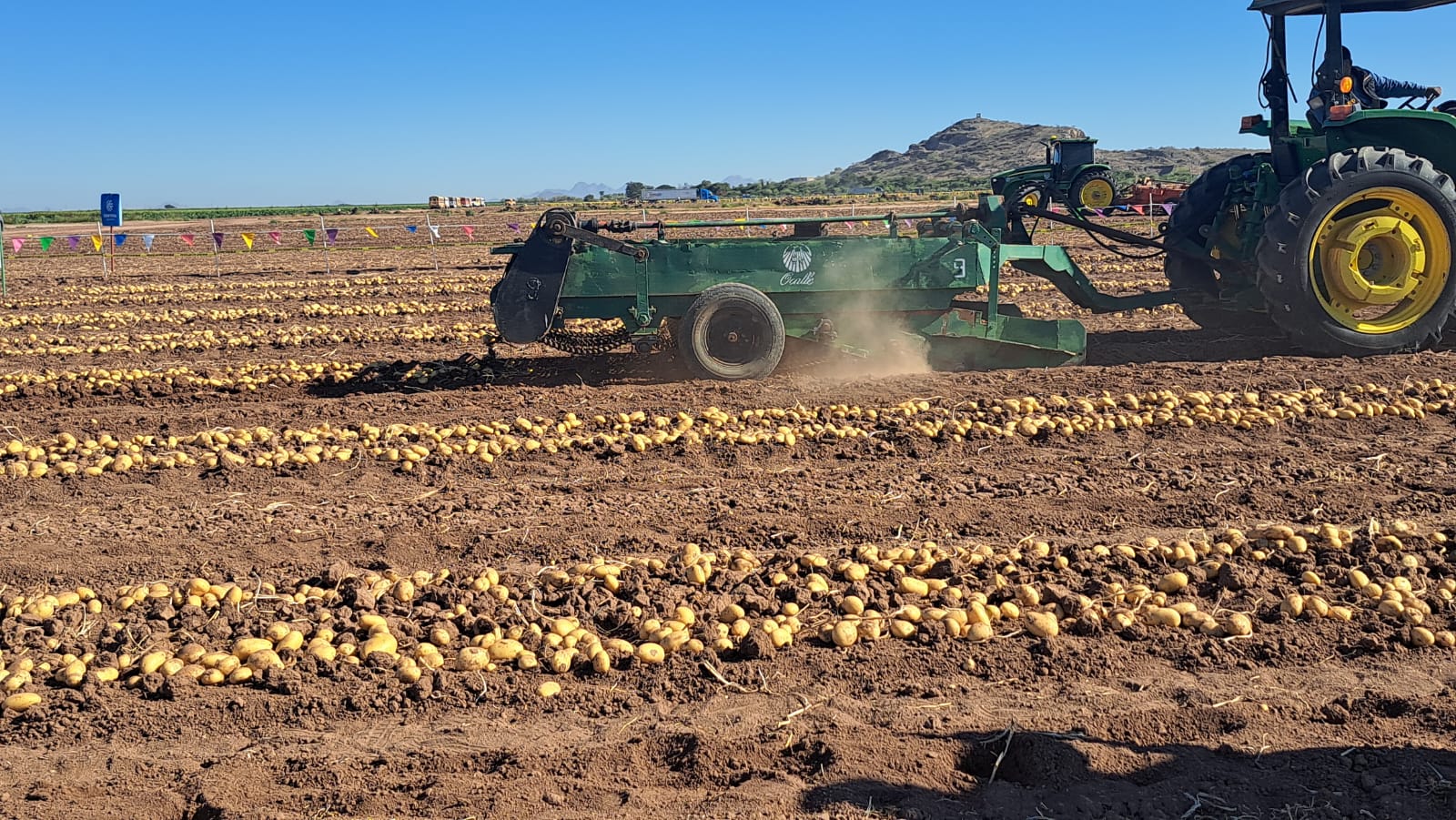 Con la humedad que dejaron las lluvias, agricultores se aventarán con siembras tempranas