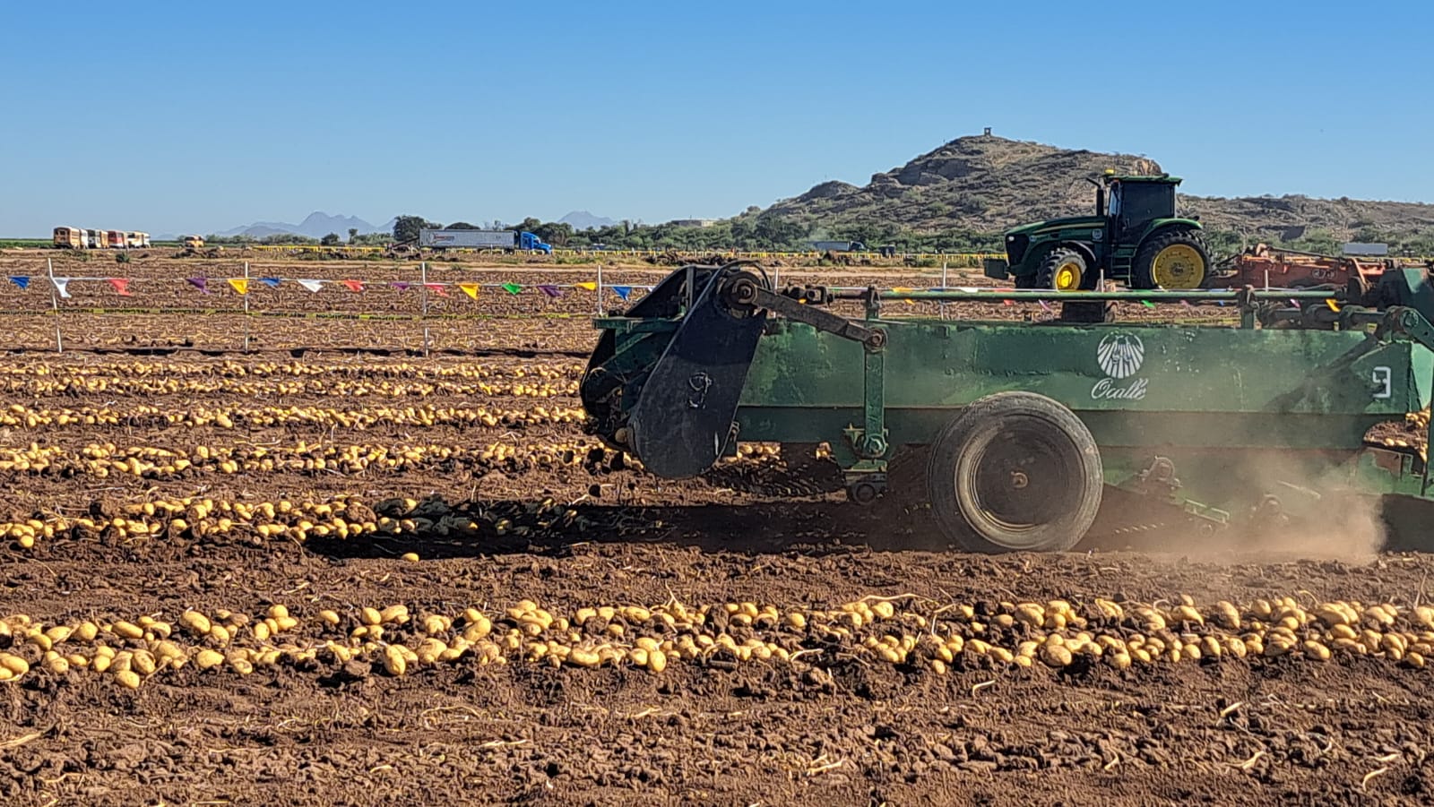 Con la humedad que dejaron las lluvias, agricultores se aventarán con siembras tempranas