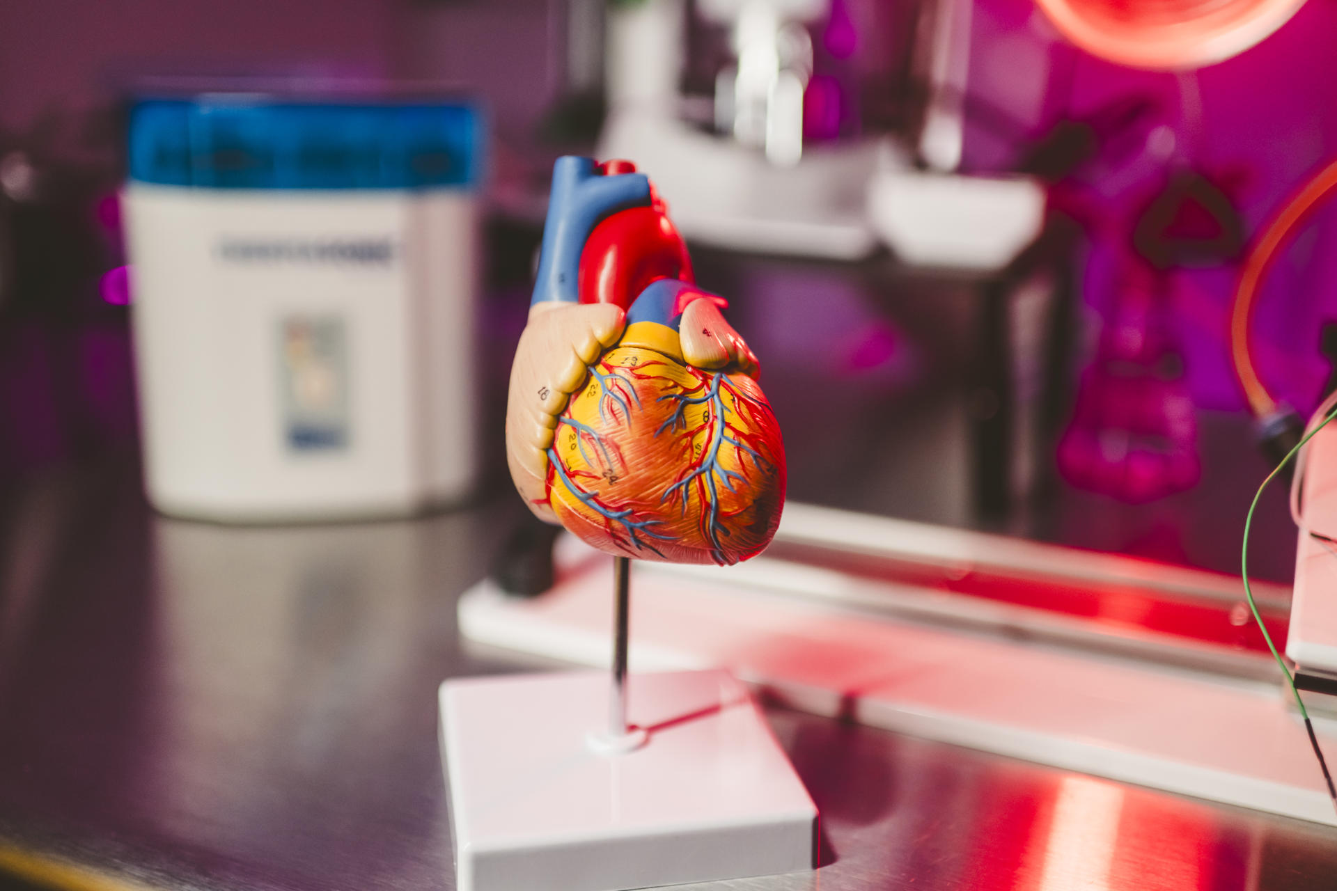 ¿El futuro de la cardiología? Crean IA que predice infartos a partir del sonido del corazón