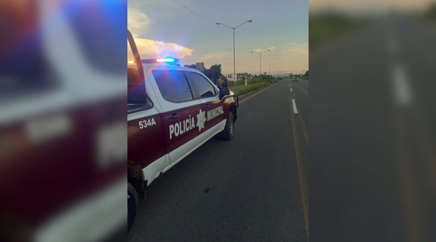 Hombre pierde la vida al ser atropellado en las inmediaciones de El Carrizo