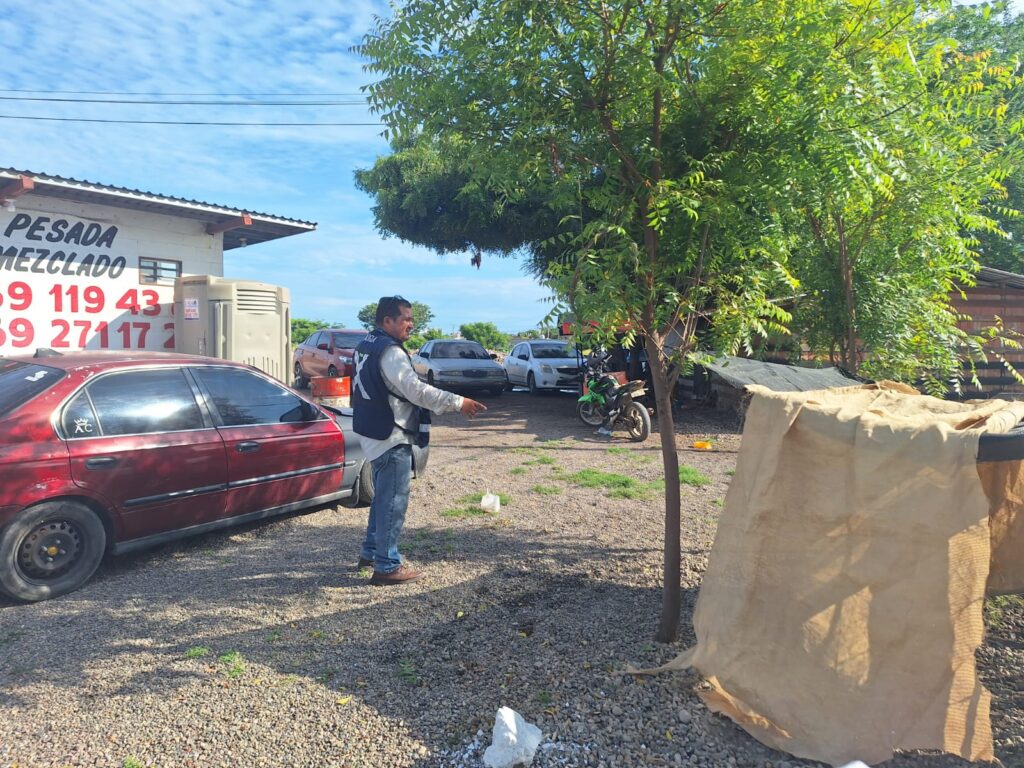 Dirección de Ecología y Medio Ambiente del Ayuntamiento de Mazatlán en el lugar donde se encuentra la perrita.