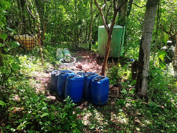 Destruyen 13 áreas de concentración de químicos en Culiacán y Cosalá; la afectación es de 354 mdp