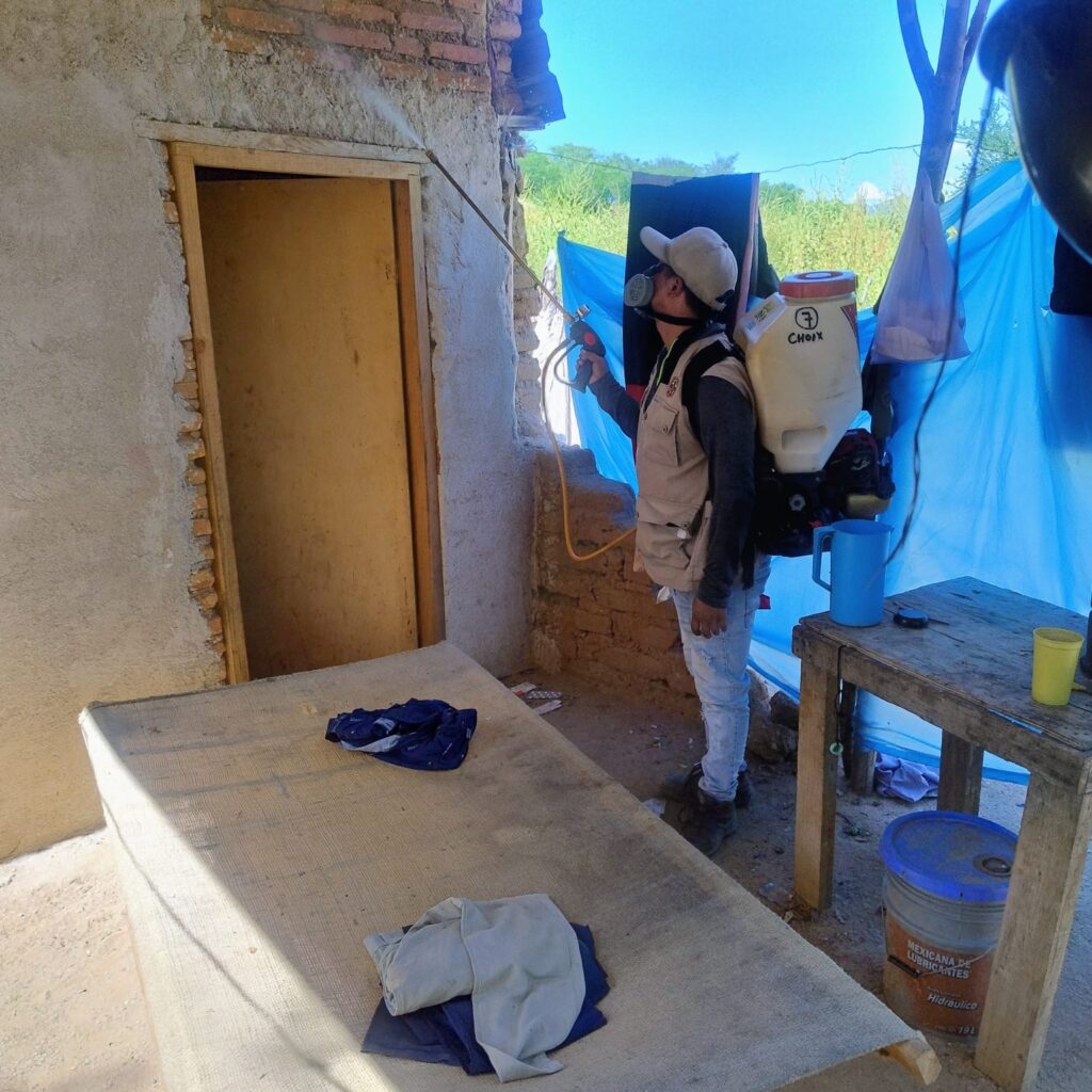 Van 36 casos confirmados de dengue en Choix