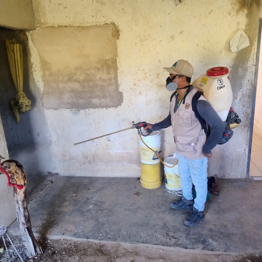 Van 36 casos confirmados de dengue en Choix