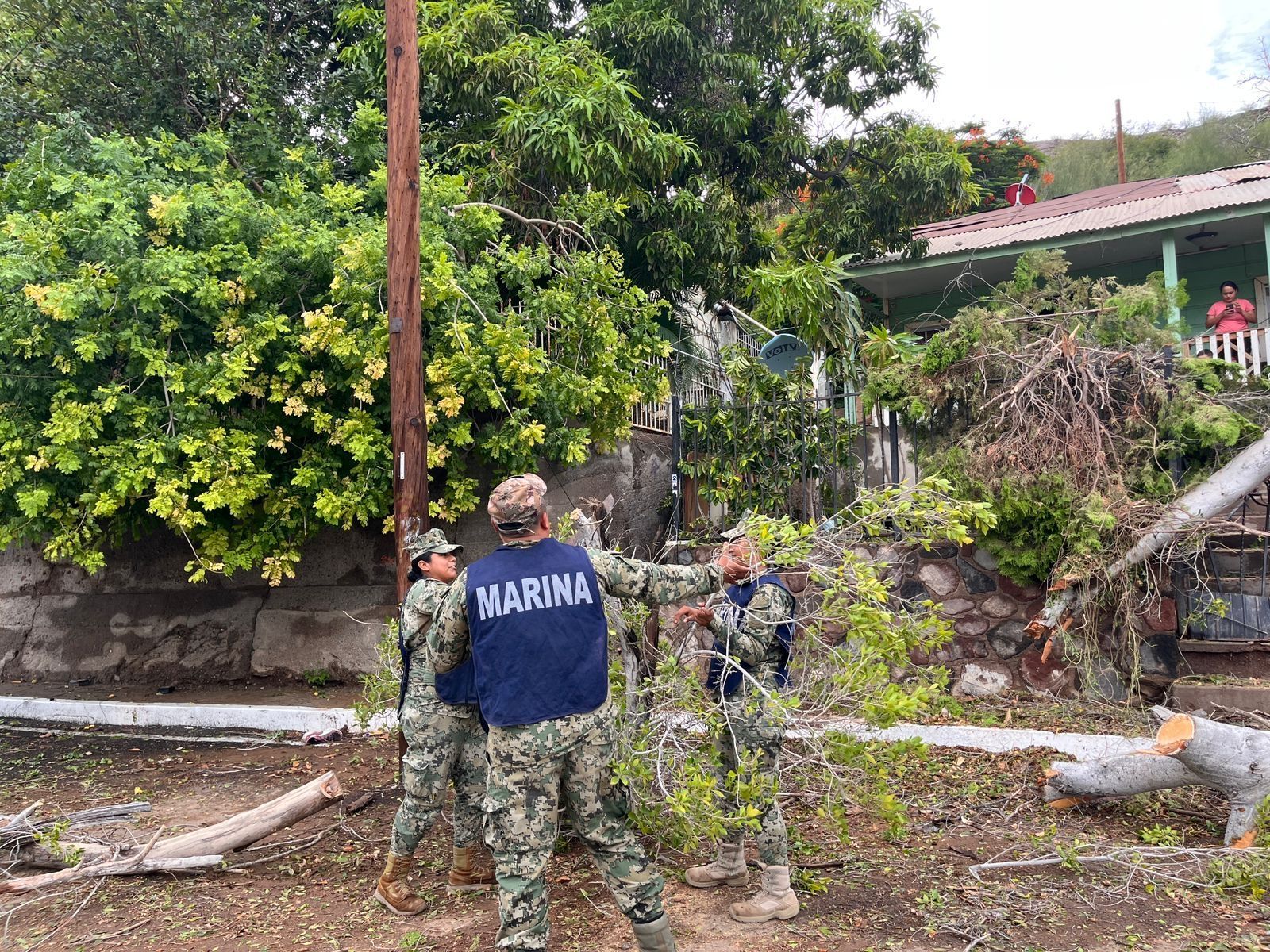 Gobierno mantienen atención en Baja California Sur por efectos de la tormenta tropical Lorena