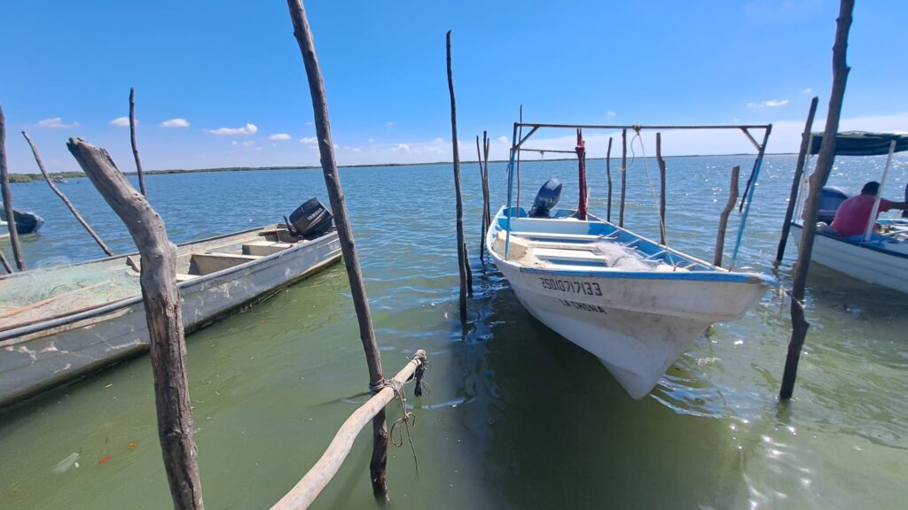 Guasave listo para arrancar temporada de camarón