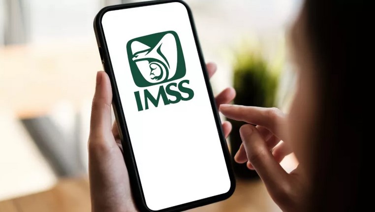 ¿Listo para tu pensión? Así puedes consultar fácilmente cuántas semanas tienes cotizadas en el IMSS