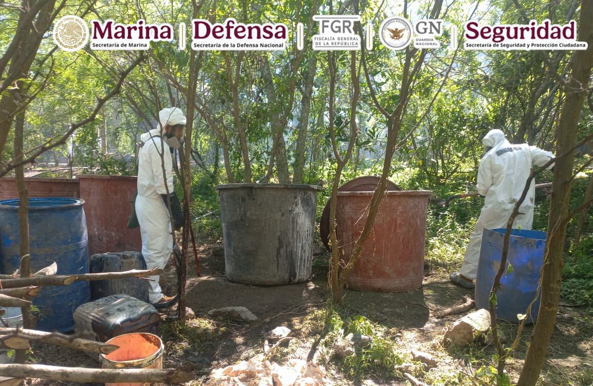 Desmantelan laboratorios clandestinos y aseguran 21 toneladas de metanfetaminas en Durango