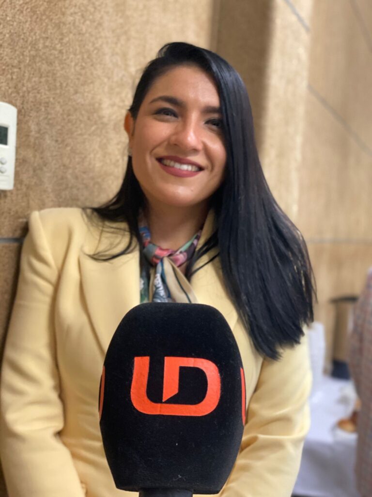 Mercedes Dorado Beltrán, directora general de Codesin.