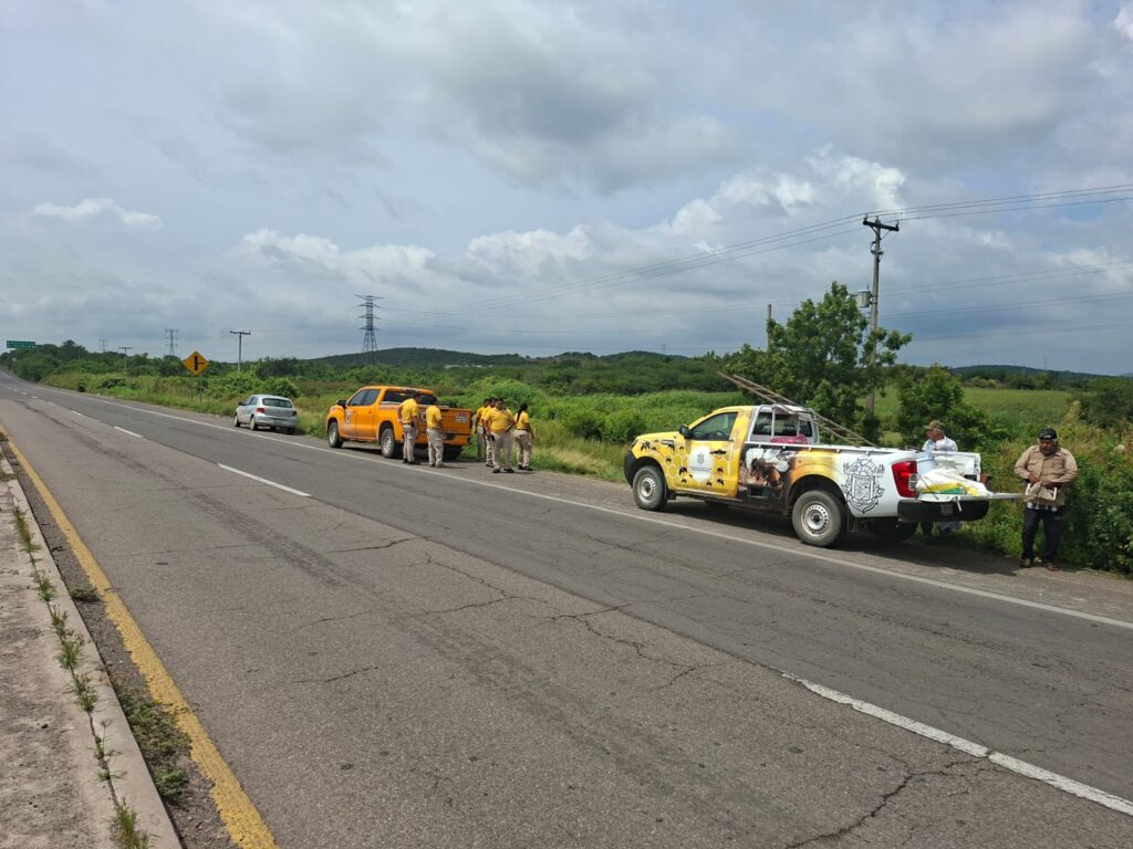 Mueren dos hombres por piquetes de abejas en un rancho a la salida sur de Mazatlán