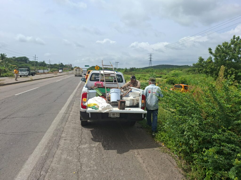 Mueren dos hombres por piquetes de abejas en un rancho a la salida sur de Mazatlán