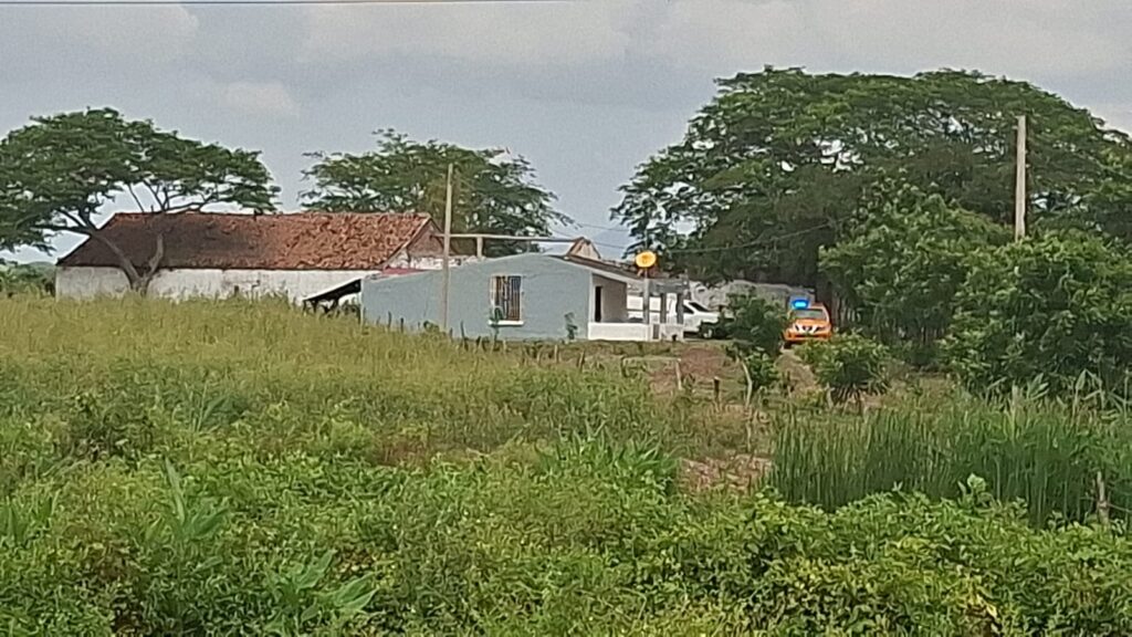 Mueren dos hombres por piquetes de abejas en un rancho a la salida sur de Mazatlán
