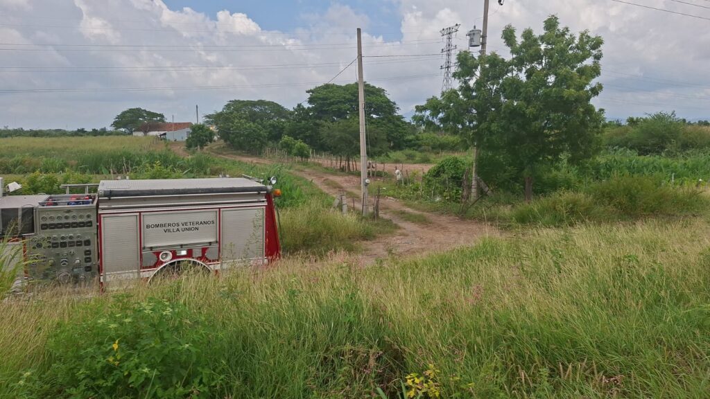 Mueren dos hombres por piquetes de abejas en un rancho a la salida sur de Mazatlán