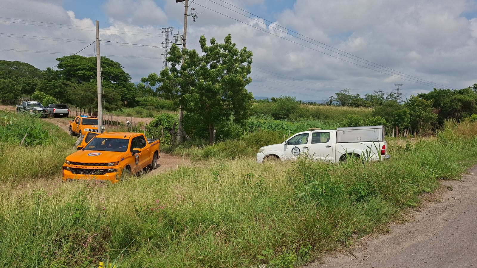Mueren dos hombres por piquetes de abejas en un rancho a la salida sur de Mazatlán