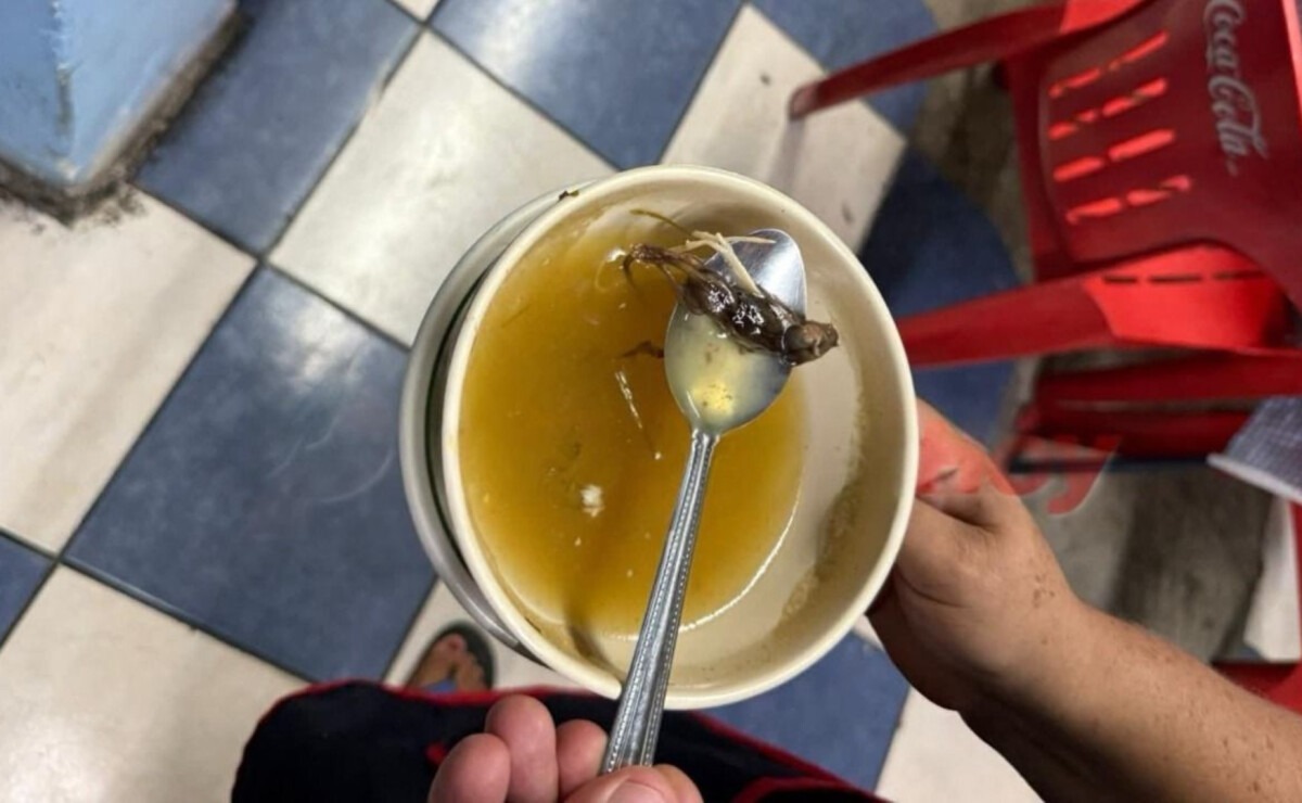 Niña hospitalizada tras consumir caldo con ratón en restaurante de Yucatán
