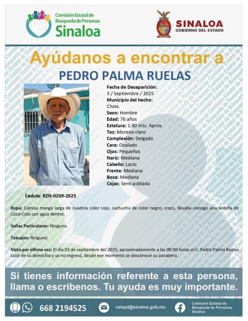 Ficha de búsqueda de Pedro Palma Ruelas.