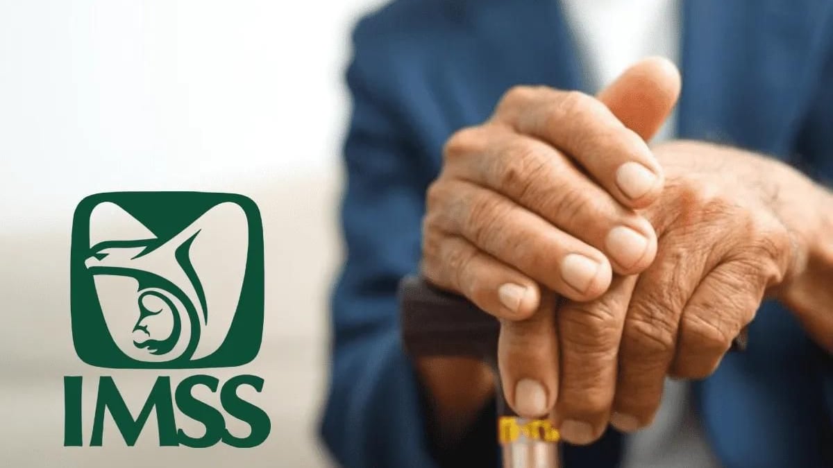 IMSS: ¿El régimen del 97 tiene pensión mínima garantizada?