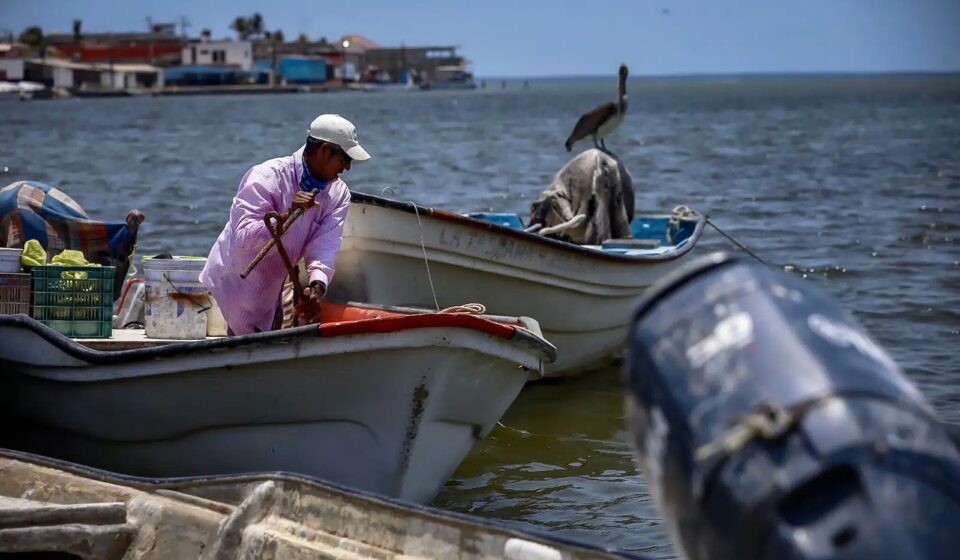 Quien menos se beneficia con captura de camarón son los pescadores