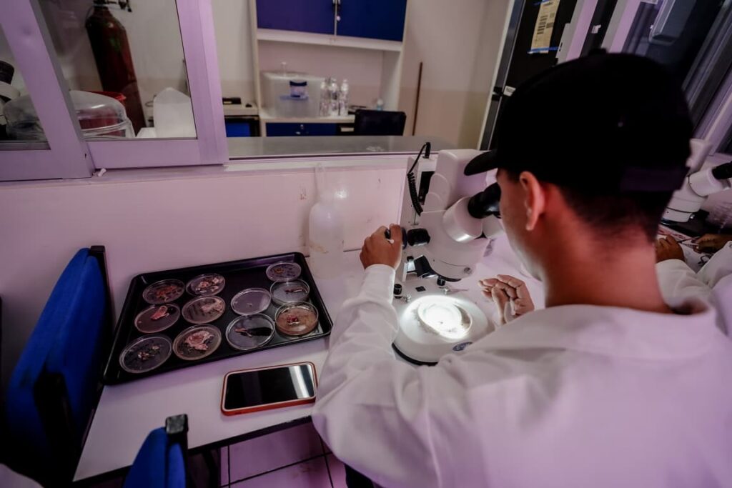 Programa de biología.