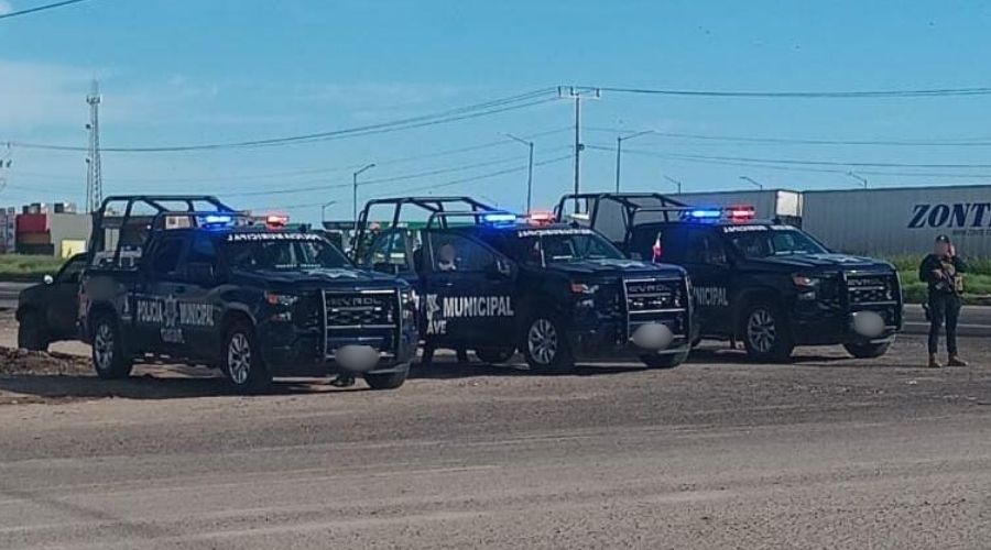 Reporte de grupo armado genera fuerte operativo policial en Batamote, Guasave
