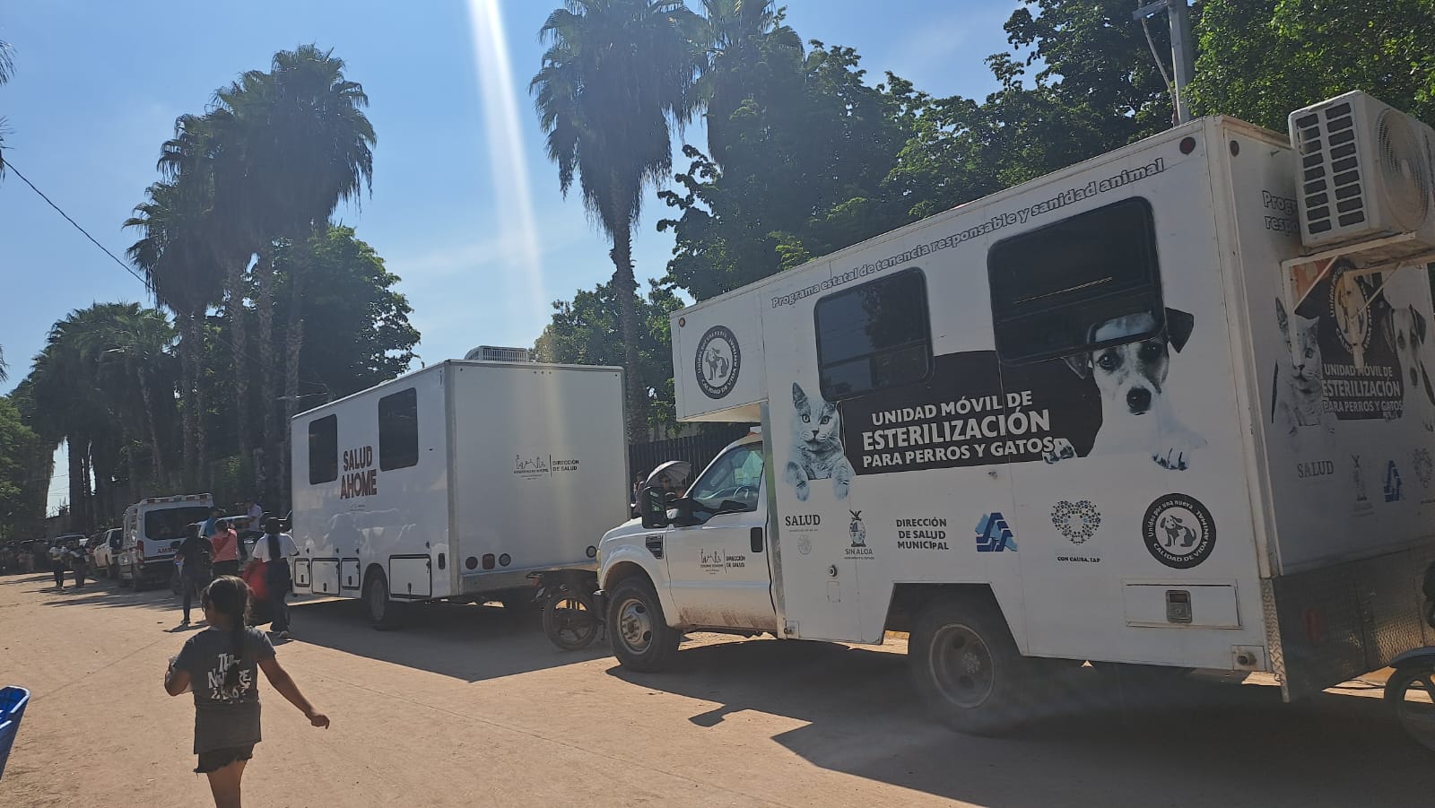 Salud Municipal de Ahome atiende gratis a personas y sus mascotas