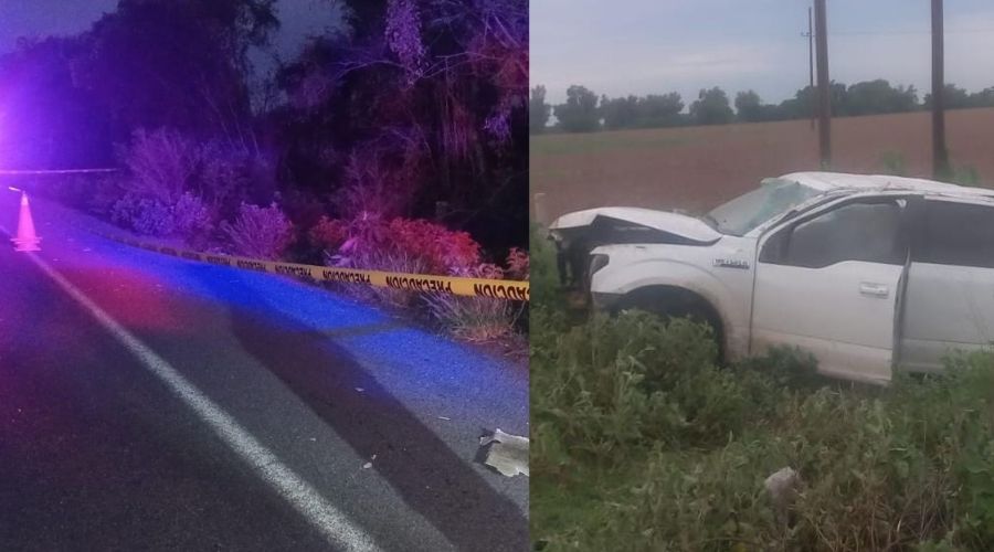 Semovientes causan tragedias y dueños deben responder