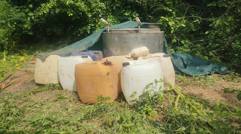 Van 298 mdp en afectaciones a la delincuencia por áreas de precursores químicos en Sinaloa