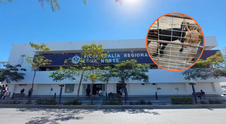 Vicefiscalía General de Justicia en la Zona Norte