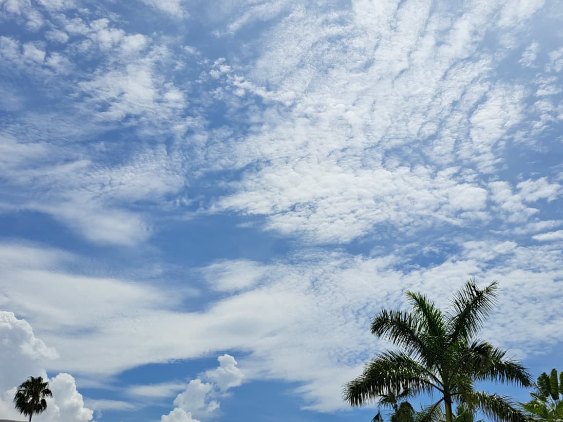 Clima en Mazatlán
