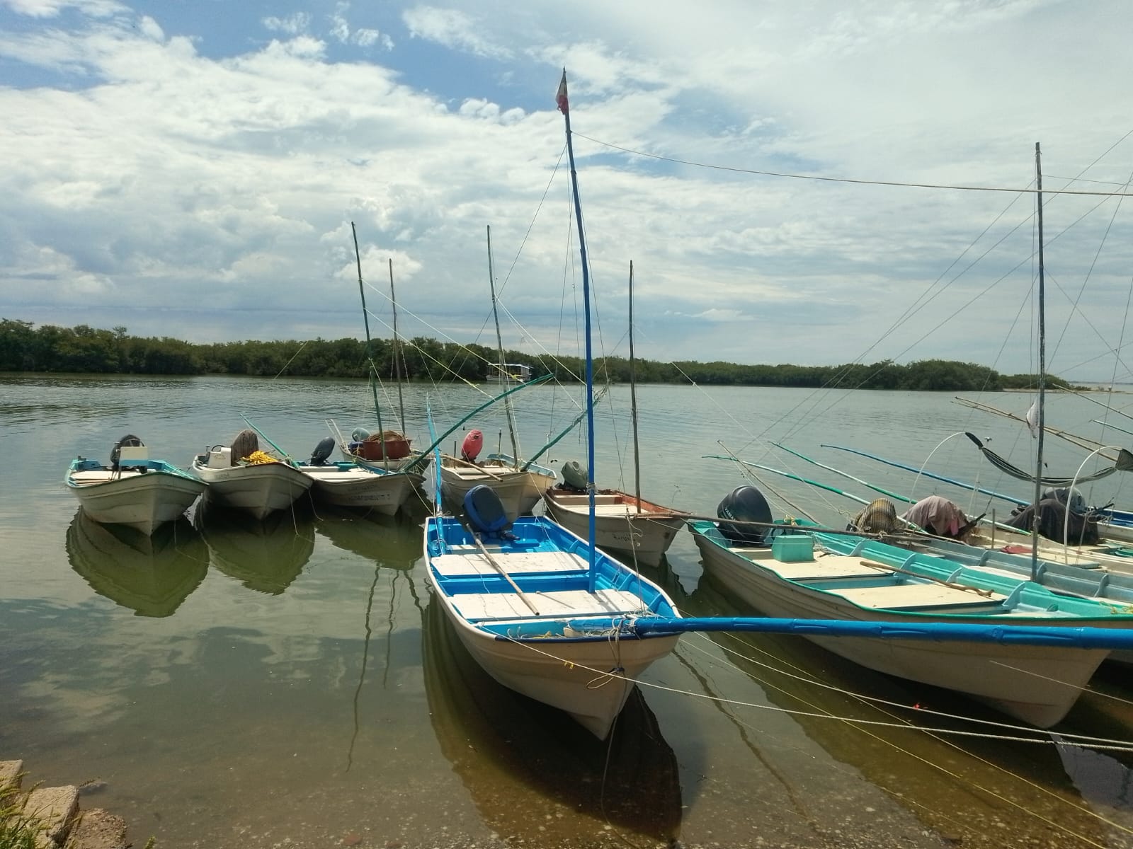Crisis camaronera afecta a pescadores