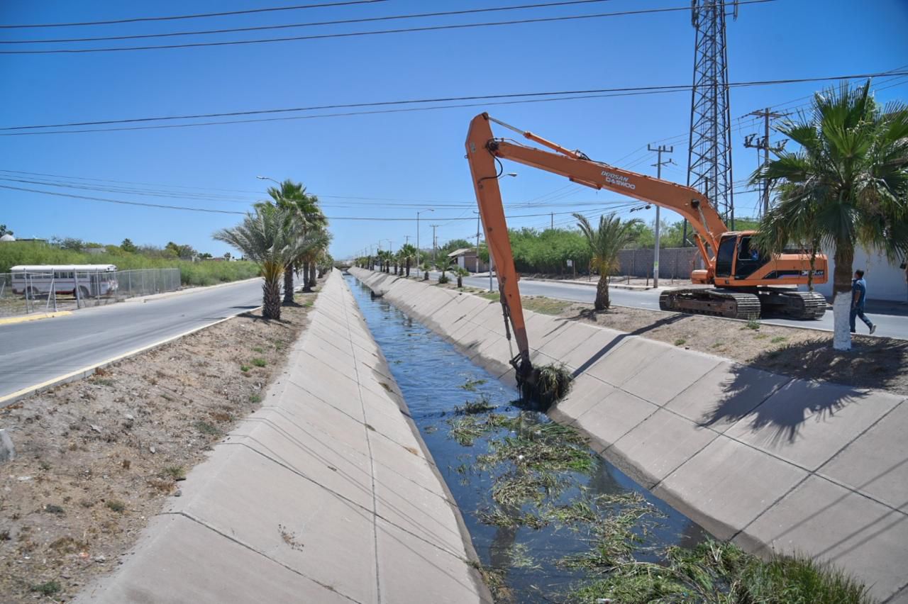 Las autoridades de Ahome buscan se les autorice limpiar el mangle en el dren Juárez.