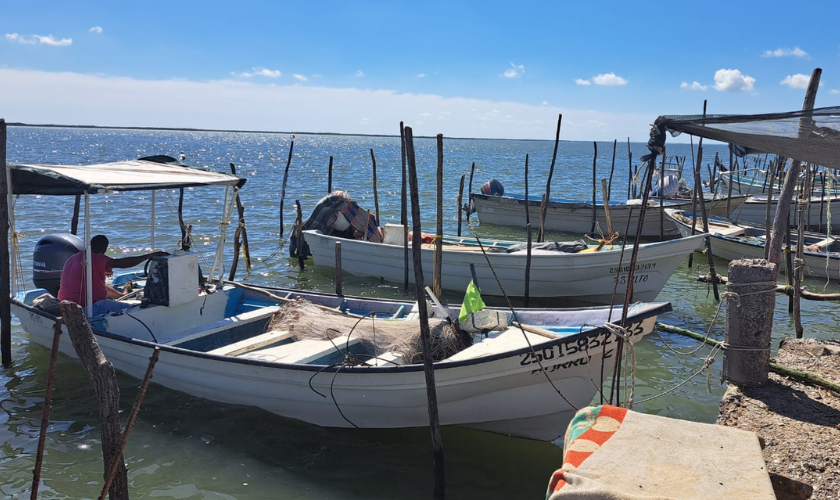 Embarcaciones en un muelle