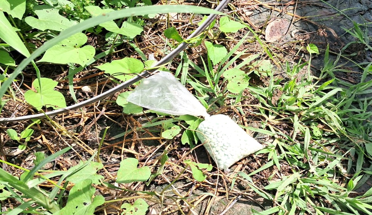 Pastillas de fentanilo
