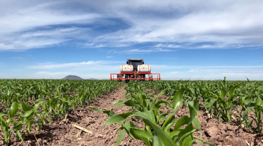 Reportan incrementos del 30 % en precios de fertilizantes y otros insumos