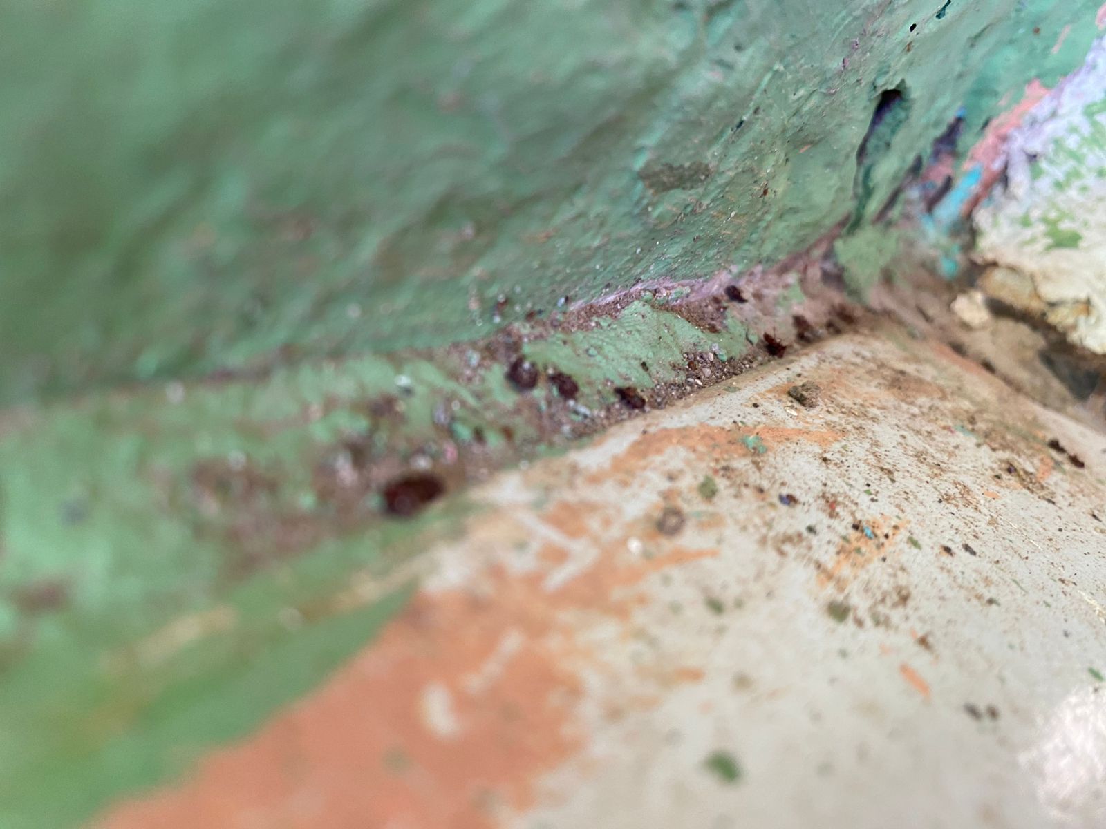 Plaga de garrapatas en escuela