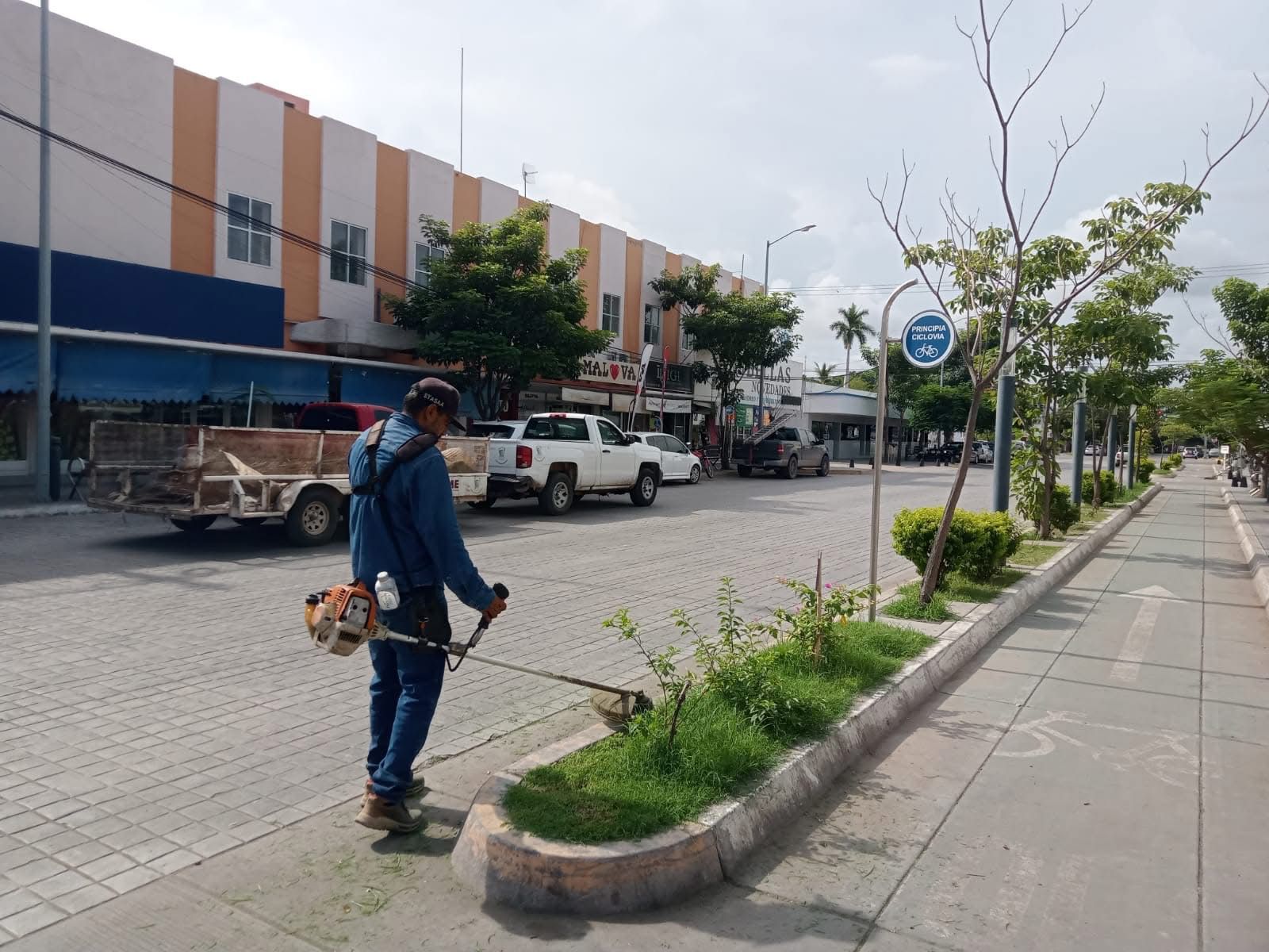 Servicios Públicos va a iniciar la limpieza de maleza en bulevares de Los Mochis