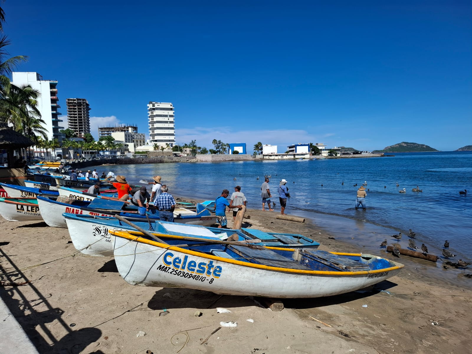 Luego de las lluvias se registran escasas capturas de pescado en Sinaloa